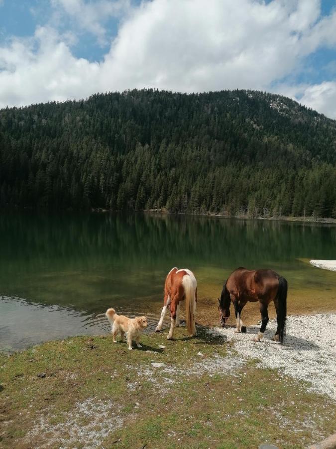 Zabljak_Vikendica Žabljak Exterior foto